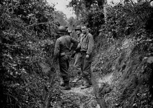 In the Normandy hedgerows